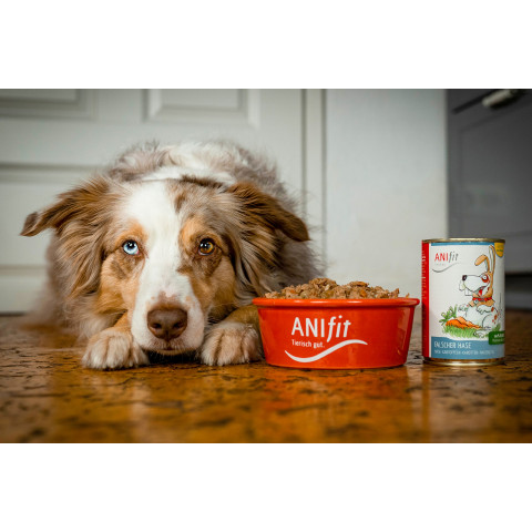 Hond Accessories Natvoer Falscher Hase 200g 6 Stuk -3- Anifit