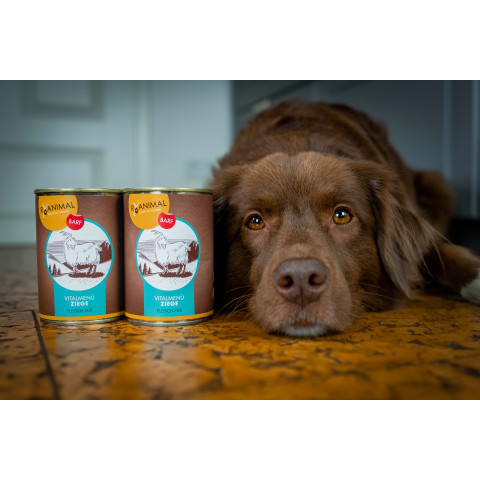 Hond Kat Accessories B.A.R.F. RyAnimal GEIT 400g 6 Stuk -6- Anifit